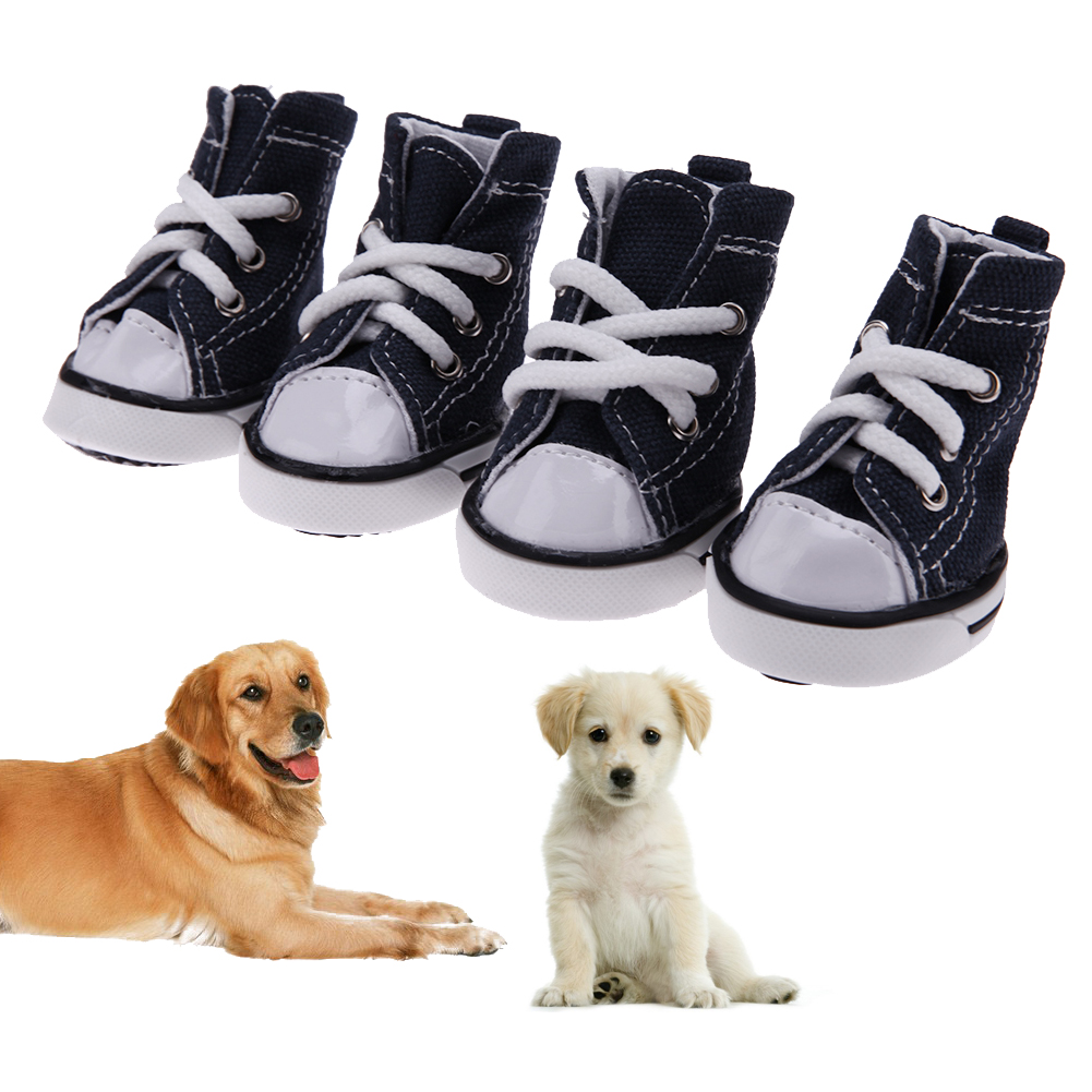Как подобрать обувь собаке?