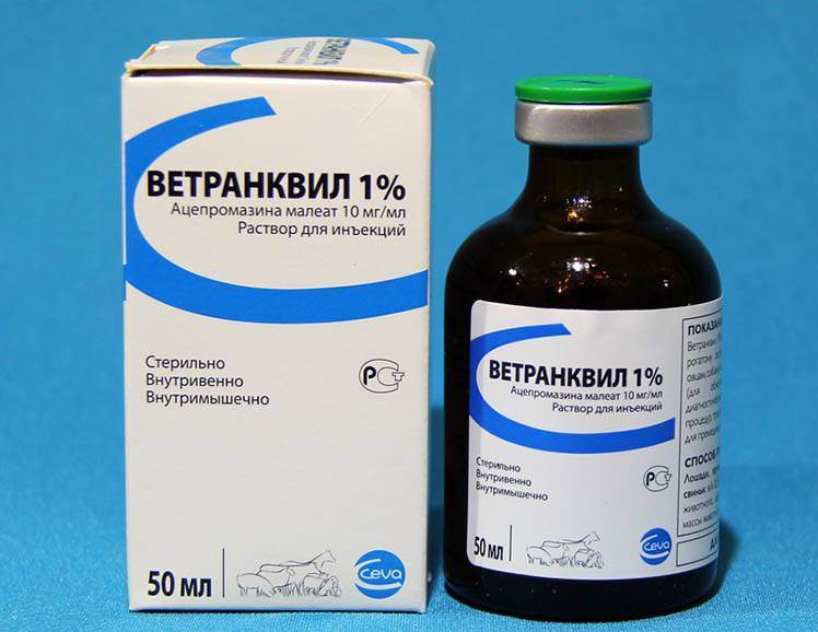 что делать с гиперактивным котенком. Смотреть фото что делать с гиперактивным котенком. Смотреть картинку что делать с гиперактивным котенком. Картинка про что делать с гиперактивным котенком. Фото что делать с гиперактивным котенком