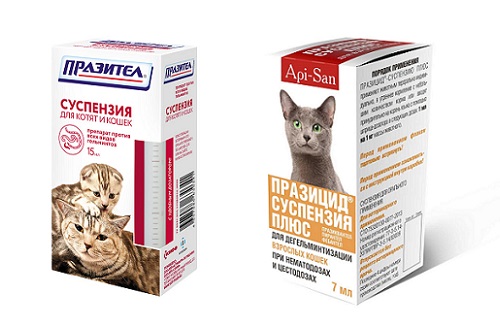 Корма для кошек при запорах: особенности профилактики, как давать, как выбрать