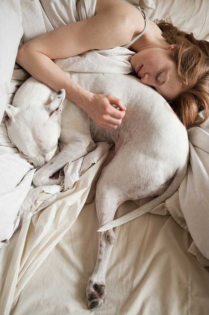 Стоит ли позволять собаке спать в вашей постели?
