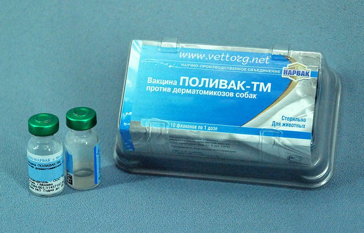 Гиперинсулинемия: как развивается резистентность к инсулину | университетская клиника