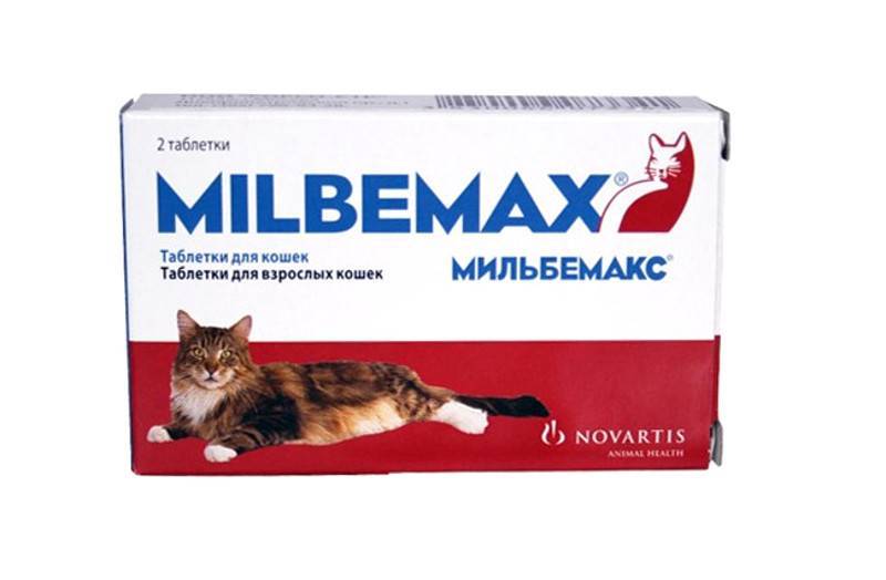 «мильбемакс» для котят: инструкция, отзывы :: syl.ru