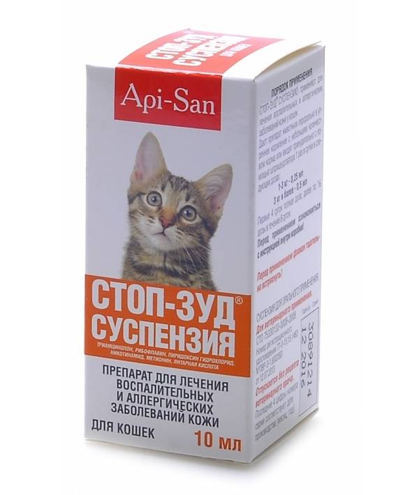 Аллергия у кошек: симптомы и лечение, причины и виды | zoosecrets