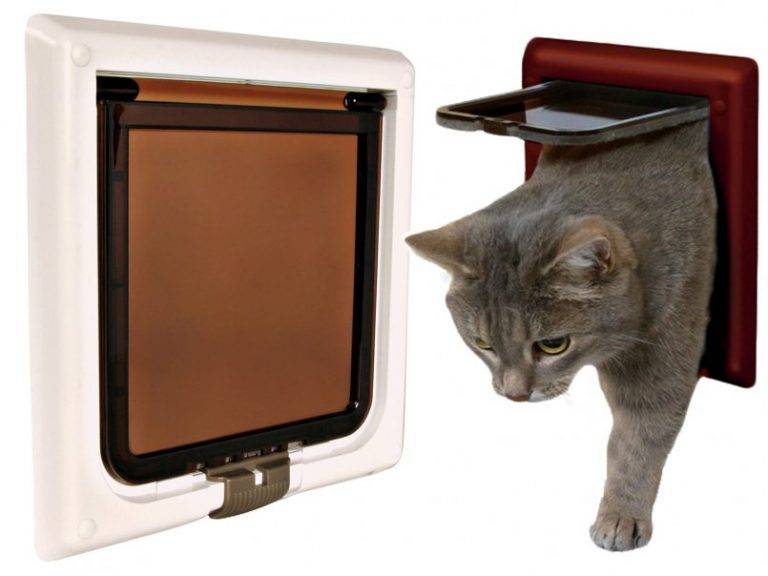 Дверца для кошки: разновидности и особенности выбора дверей, самостоятельное изготовление аксессуара, отзывы владельцев