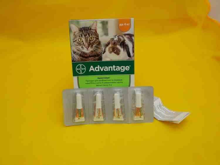 «адвантейдж» для кошек: инструкция по применению