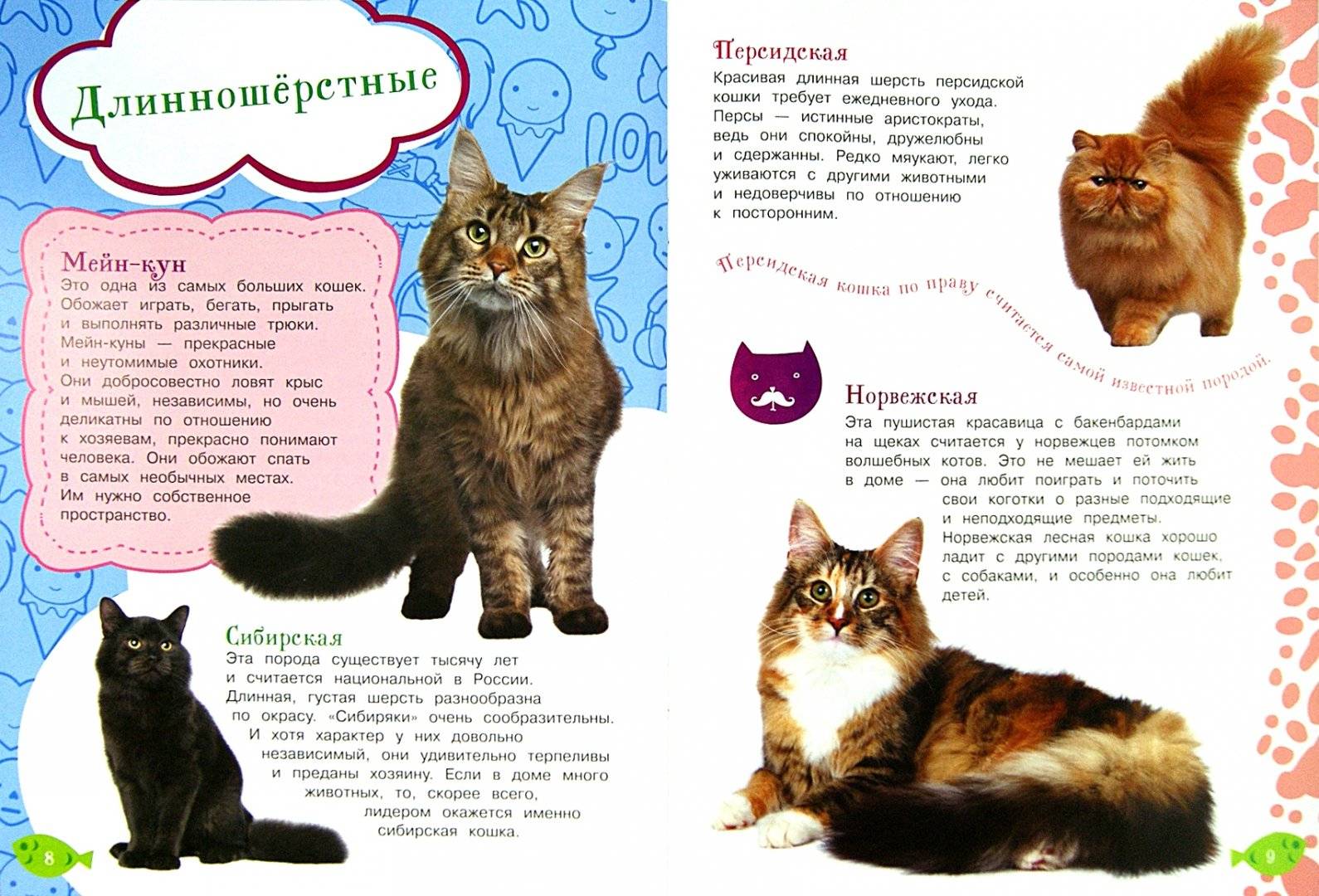 Как воспитать котенка послушным и ласковым :: syl.ru