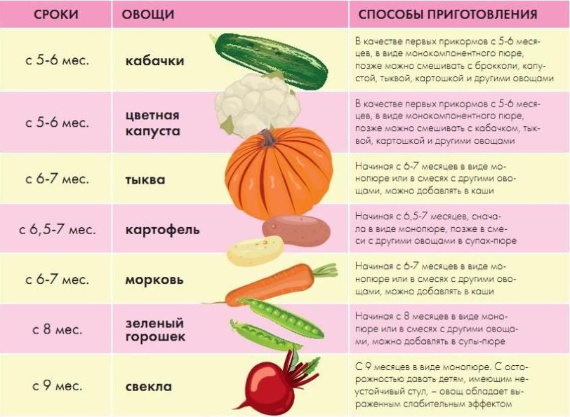 Какие овощи включить в рацион собаки, а какие принесут вред