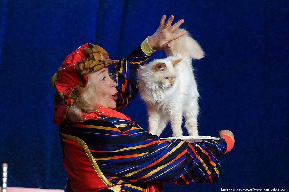 Куклачев и его кошки