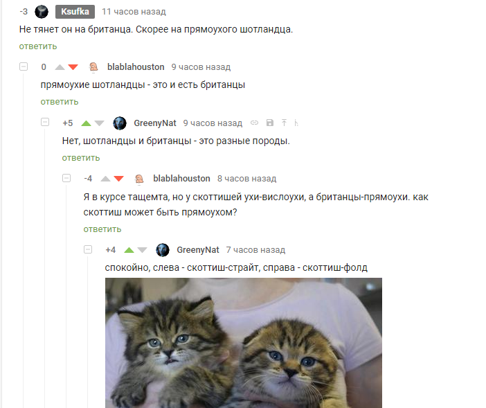 Фолд +фолд((( - запись пользователя ксю.наборы для шитья тильд. скидки!!! (ksushkin_daily_log) в сообществе домашние животные в категории болезни любимцев - babyblog.ru