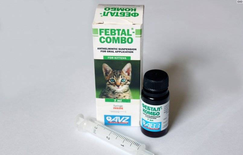 Фебтал для кошек: 115 фото суспензии и способы ее применения