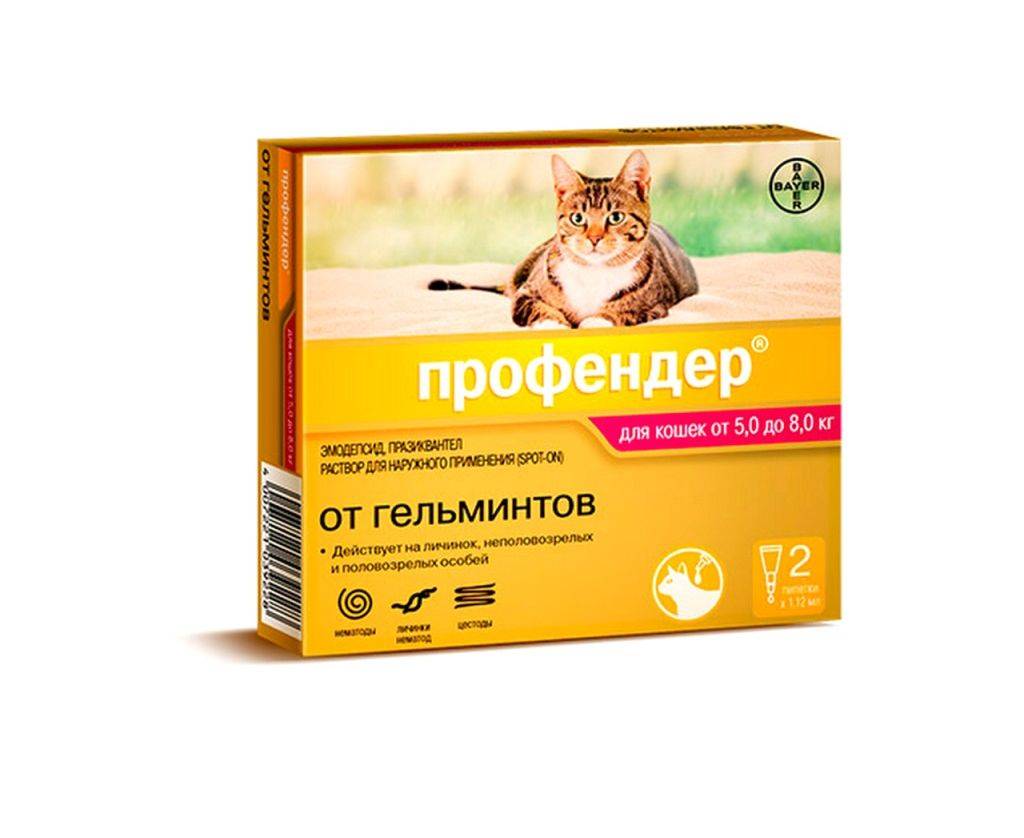 Профендер для кошек - эффективно ли средство? 100 фото каплей от глистов на холку