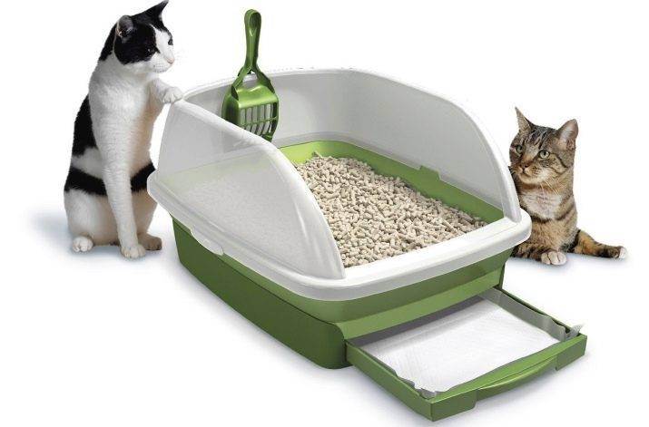 Лоток для кошки или кота, особенности выбора кошачьего туалета (открытый, закрытый, домик, автоматический, биотуалет, прочие виды), отзывы