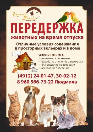 Где оставить собаку на время отпуска: все возможные и варианты