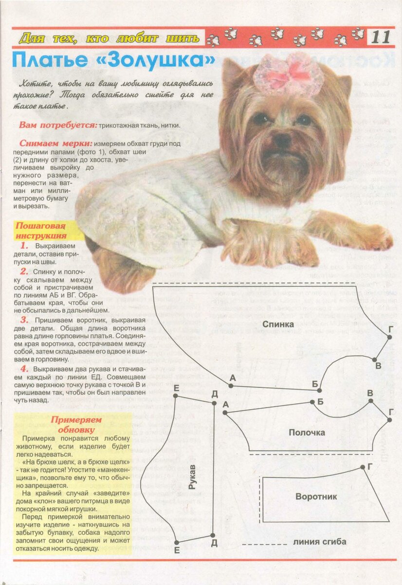 Правила и схемы вязания одежды для собак мелких пород спицами: разнообразие маленьких одежек
