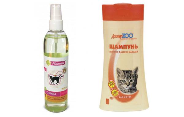 Как выбрать шампунь от блох для кошек - советы ветеринара