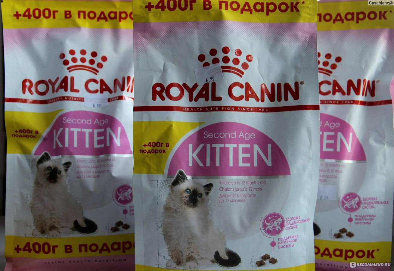 Топ 10 кормов для котят премиум класса