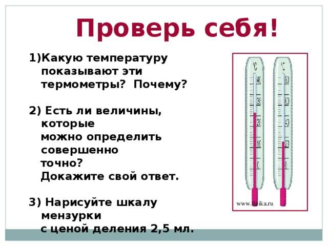 Повышенная температура у кошки: как измерить и помочь | блог ветклиники "беланта"
