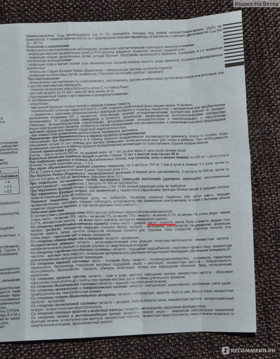 Виды антибиотиков для кошек и правила их применения