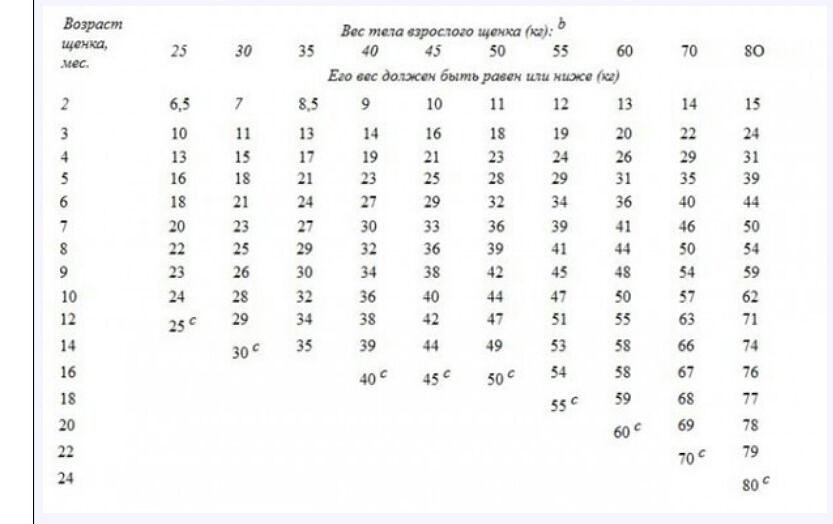 Азиатская овчарка (алабай) — стандарт породы, повадки, дрессировка, цена щенка