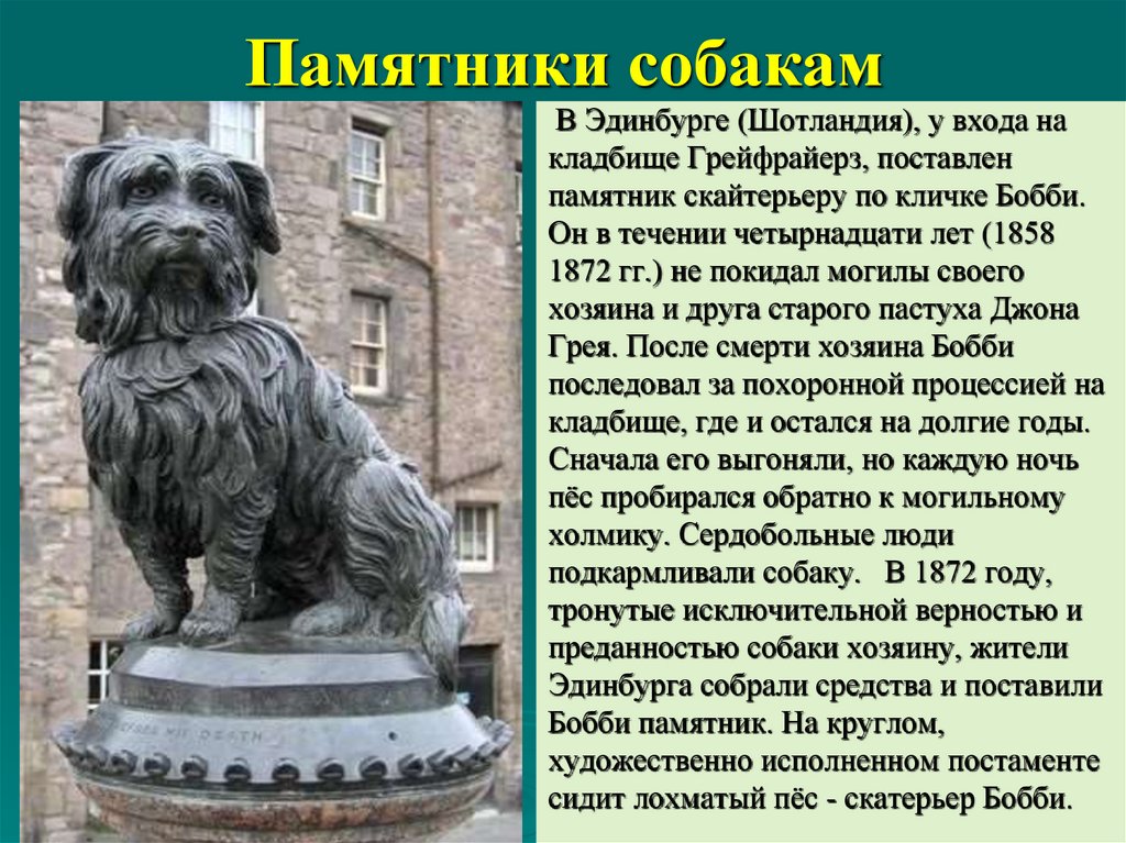 Памятники собакам: где стоят и за что | блог ветклиники "беланта"