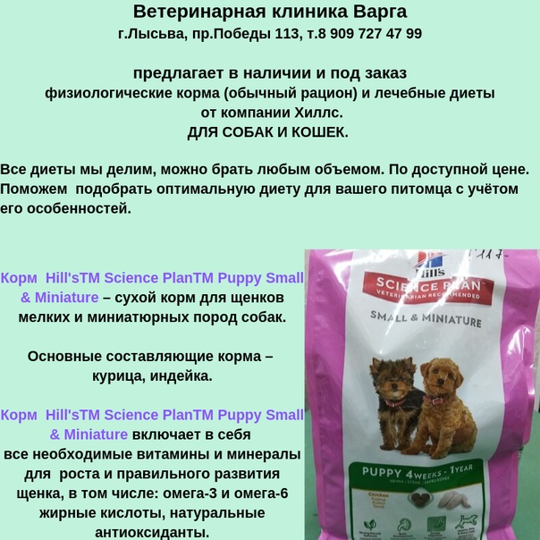 Каким кормом лучше кормить котенка британца - кормобзор