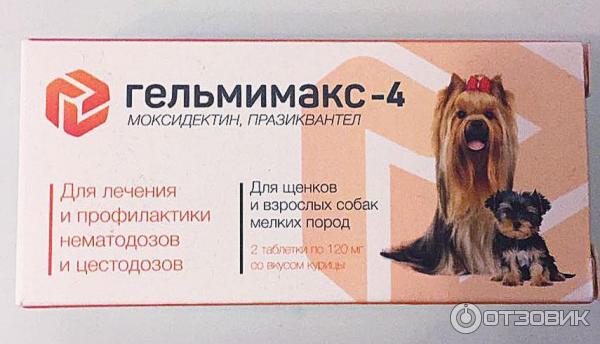 Гельмимакс для кошек: инструкция по применению, отзывы, аналоги