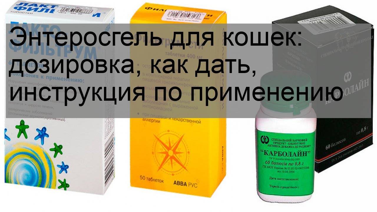 Как давать «энтеросгель» кошкам?