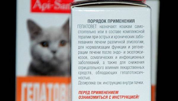 Гепатовет для кошек: инструкция по применению