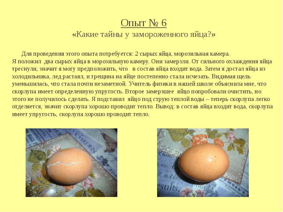 Яйцо кошке можно вареное. Куриное яйцо презентация. Форма куриного яйца. Описание яйца. Замороженное куриное яйцо.