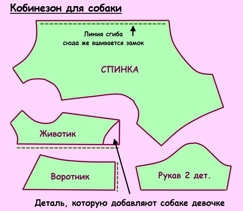 Как пошить одежду для кошки в домашних условиях?