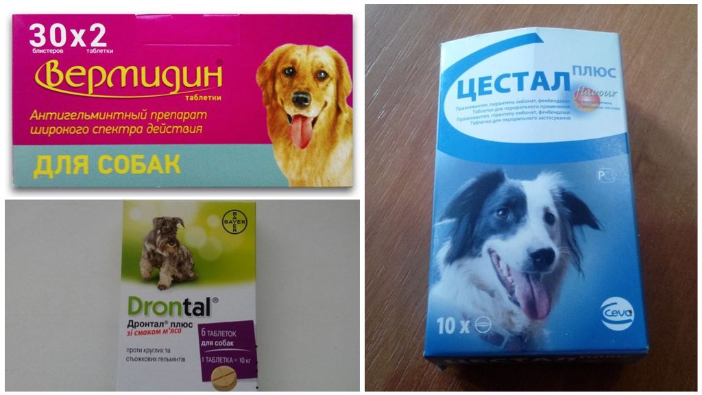 Розовый лишай (болезнь жибера). тревожные симптомы и эффективное лечение