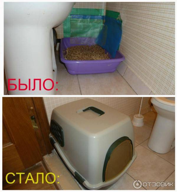 Биотуалет для кошки: обзор устройств и советы по выбору места расположения биотуалета (90 фото)