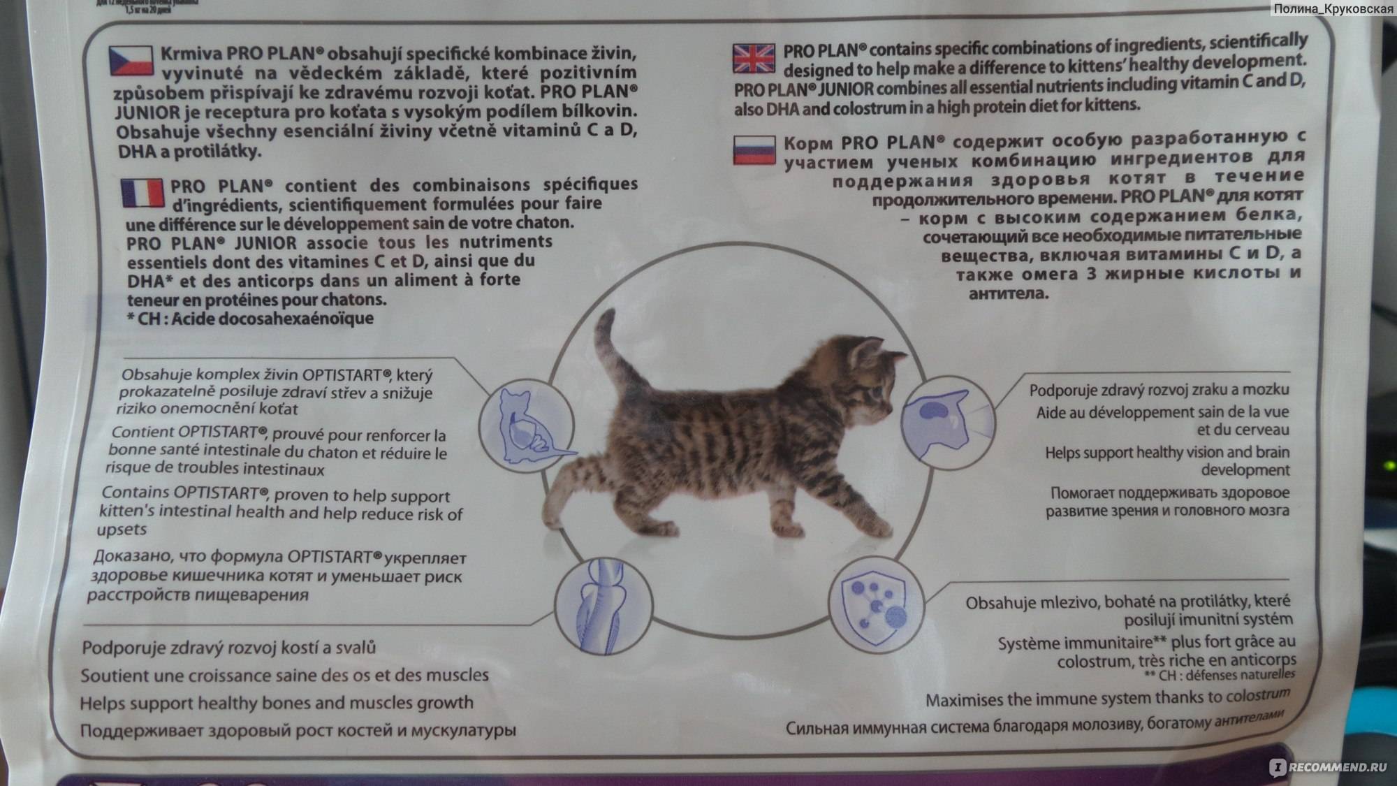 Анализ кормов для кошек