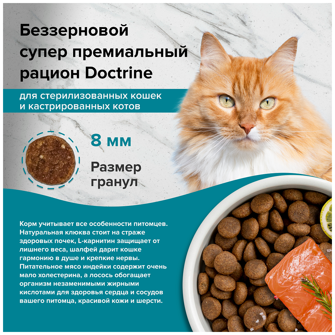 10 лучших кормов для стерилизованных кошек – рейтинг 2022 года