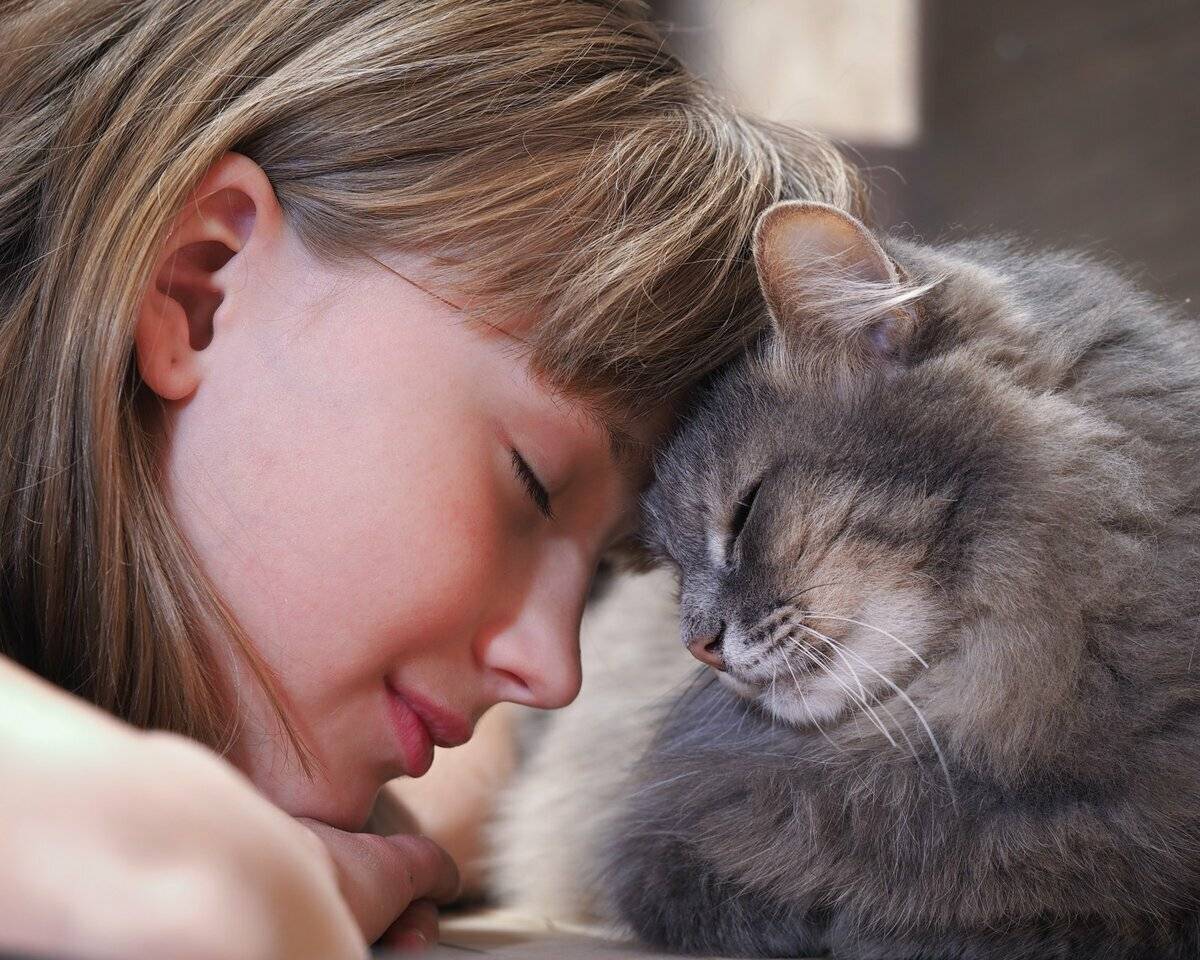 Люди, которые любят кошек, психология и характер: почему некоторым они нравятся больше людей?
