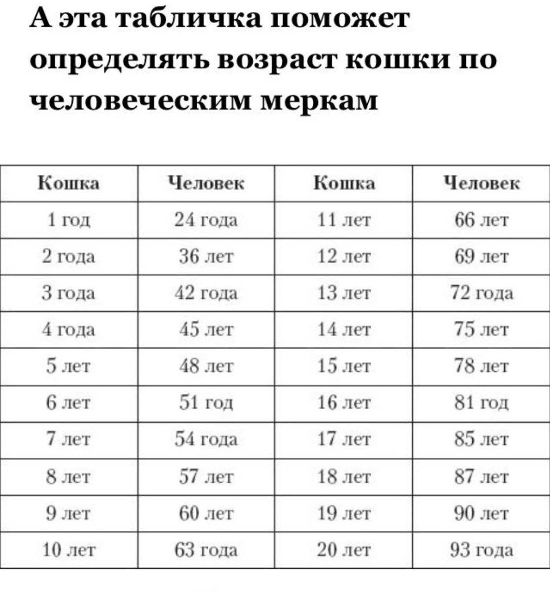 Возраст кошек в переводе на человеческий. Возраст кошки по человеческим меркам таблица. Возраст кота по человеческим меркам таблица по годам. Кошачий Возраст по человеческим меркам таблица. Кошке 6 лет сколько по человеческим меркам таблица.