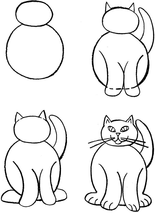 Как нарисовать кошку. пошаговый урок для начинающих