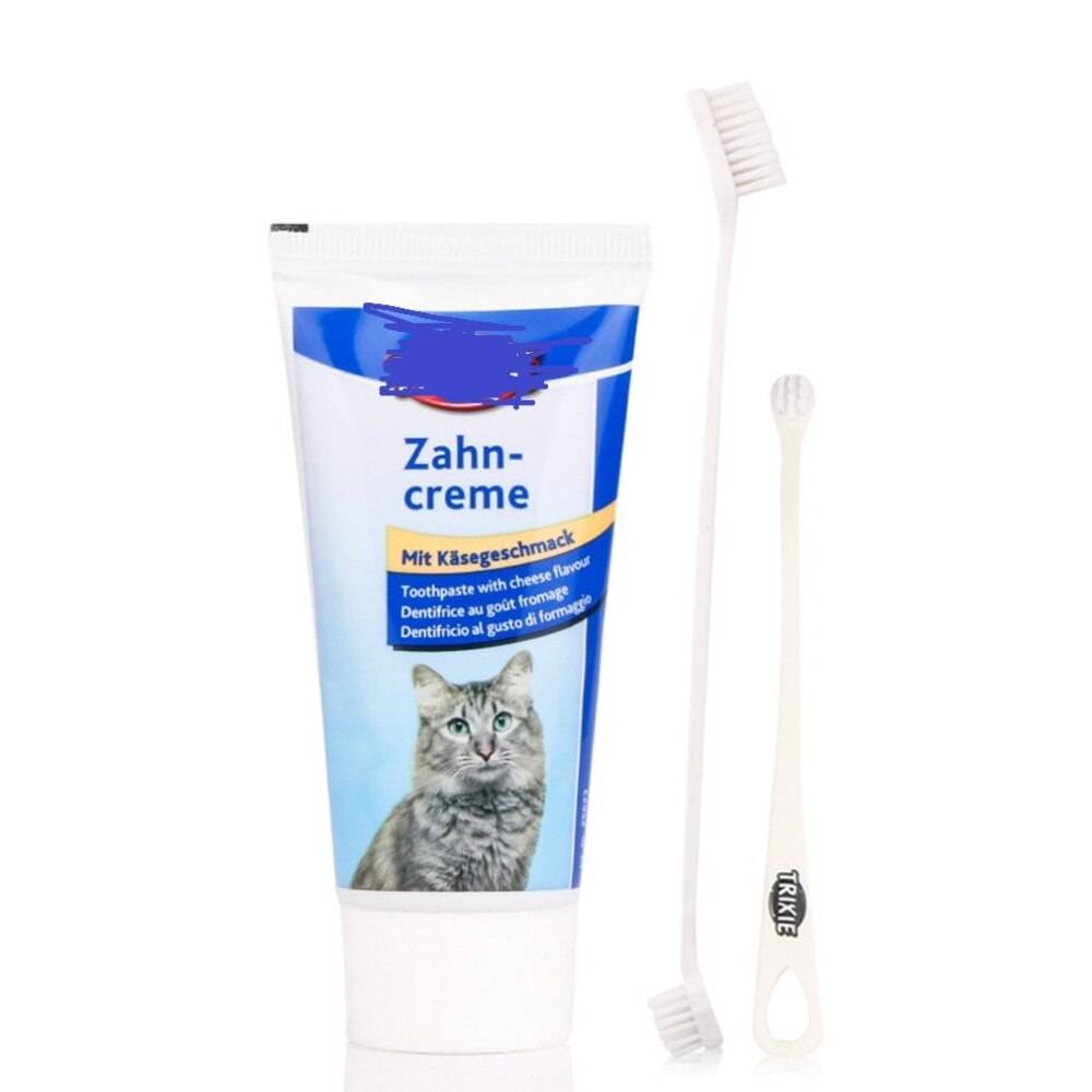 Нужно ли чистить зубы кошке: как и чем чистить зубы коту, средства для снятия налета, как приучить кошку чистить зубы