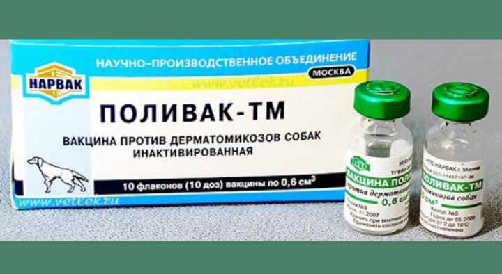 ᐉ вакцина поливак тм для кошек: инструкция по применению - kcc-zoo.ru