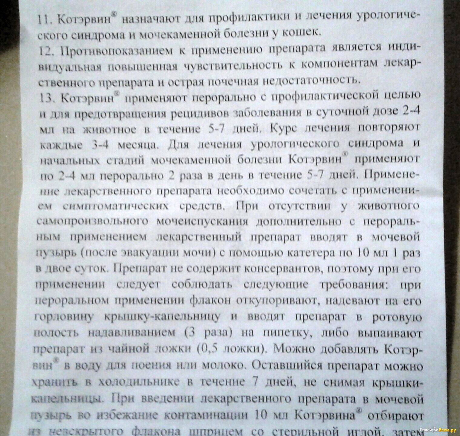 Канефрон для кошек: показания и инструкция по применению, отзывы, цена