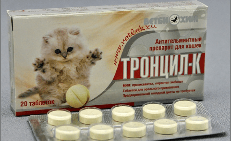 Антигельминтный препарат «тронцил-к» для кошек: способ применения и дозировка