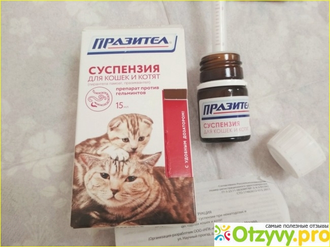 Инструкция по применению суспензии и таблеток «празител» для лечения кошек и котят от глистов, состав и дозировка