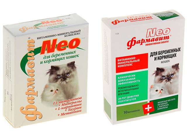 Витамины для беременных кошек