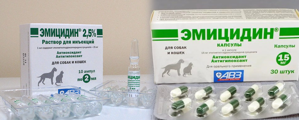 Препарат эмицидин для собак: инструкция по применению, стоимость, отзывы