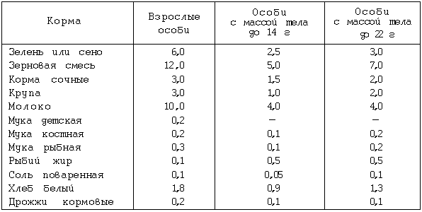 Чем питаются дикие и домашние крысы, какая еда опасна для них?