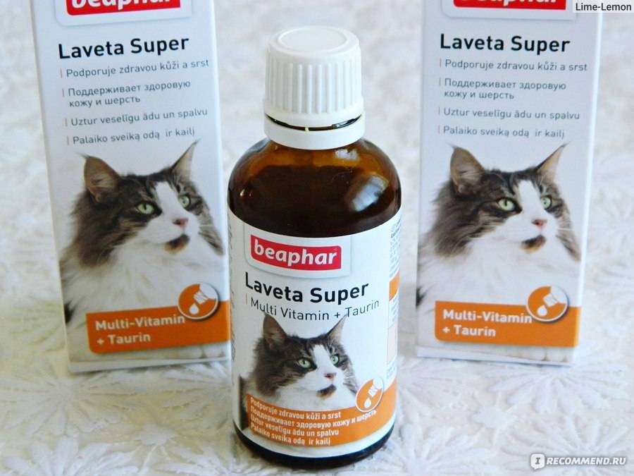 Витамины для кота от выпадения шерсти