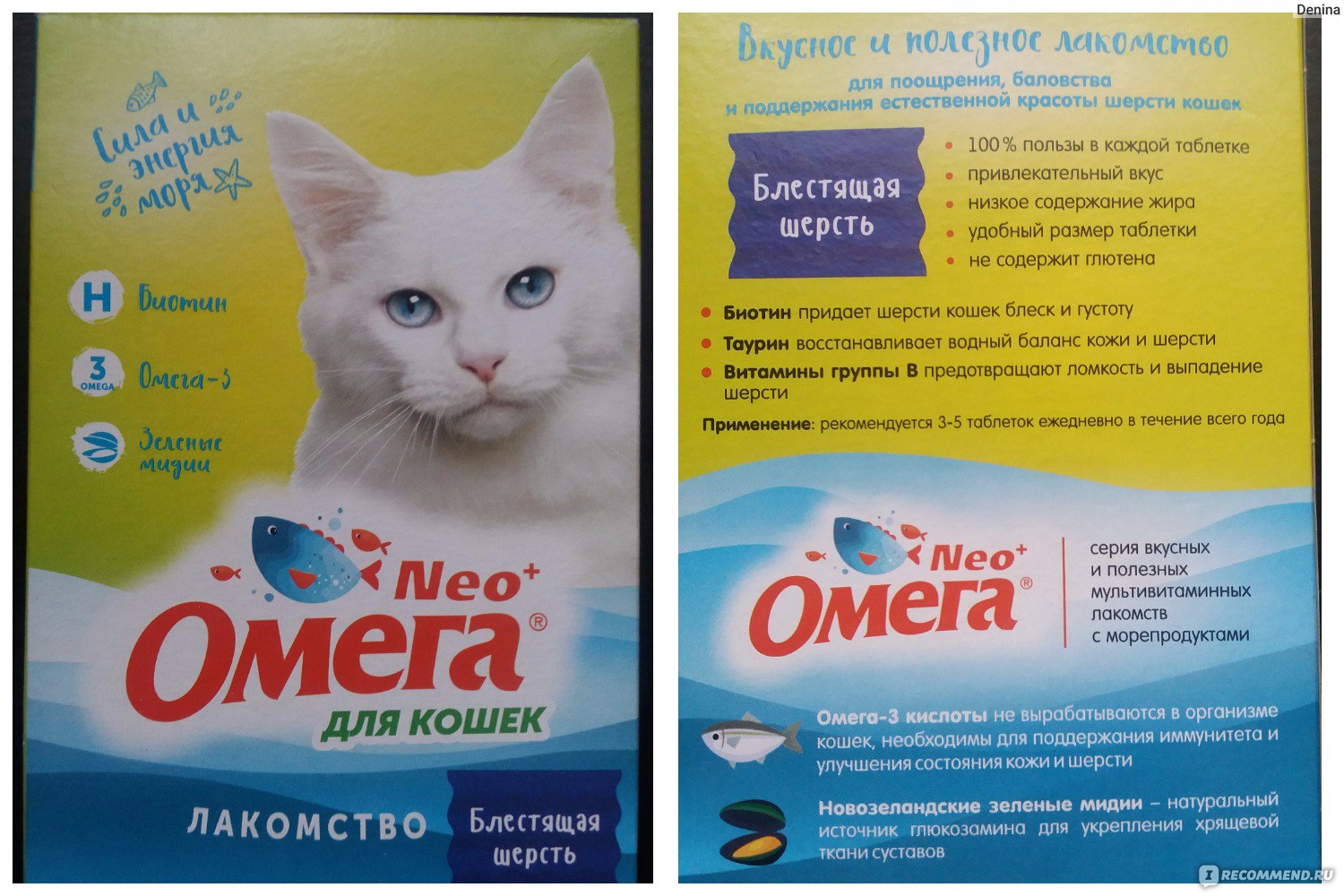 Витамины для кошек и котов: от выпадения шерсти, для иммунитета и других целей, обзор препаратов для взрослых животных и котят, отзывы