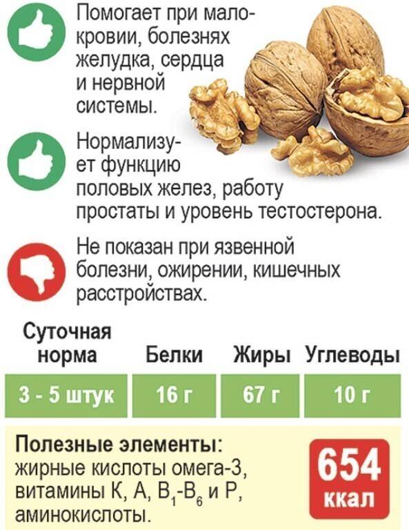 Человеческая еда, которую можно и нельзя давать собакам