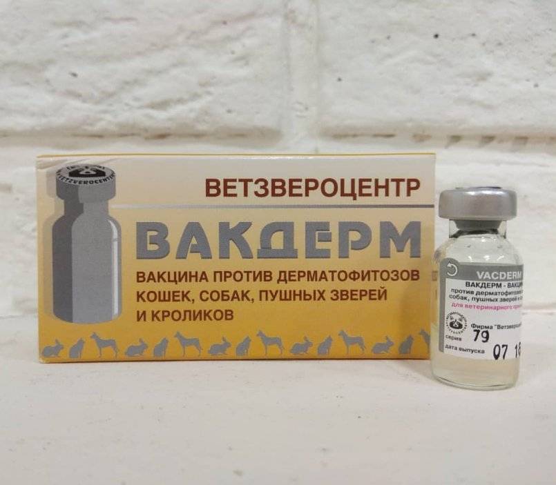 Инструкция по применению Вакдерма для кота