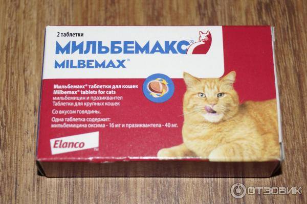 Мильбемакс: инструкция по применению для кошек, состав, показания